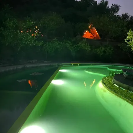 La Calma Entre Naranjos *